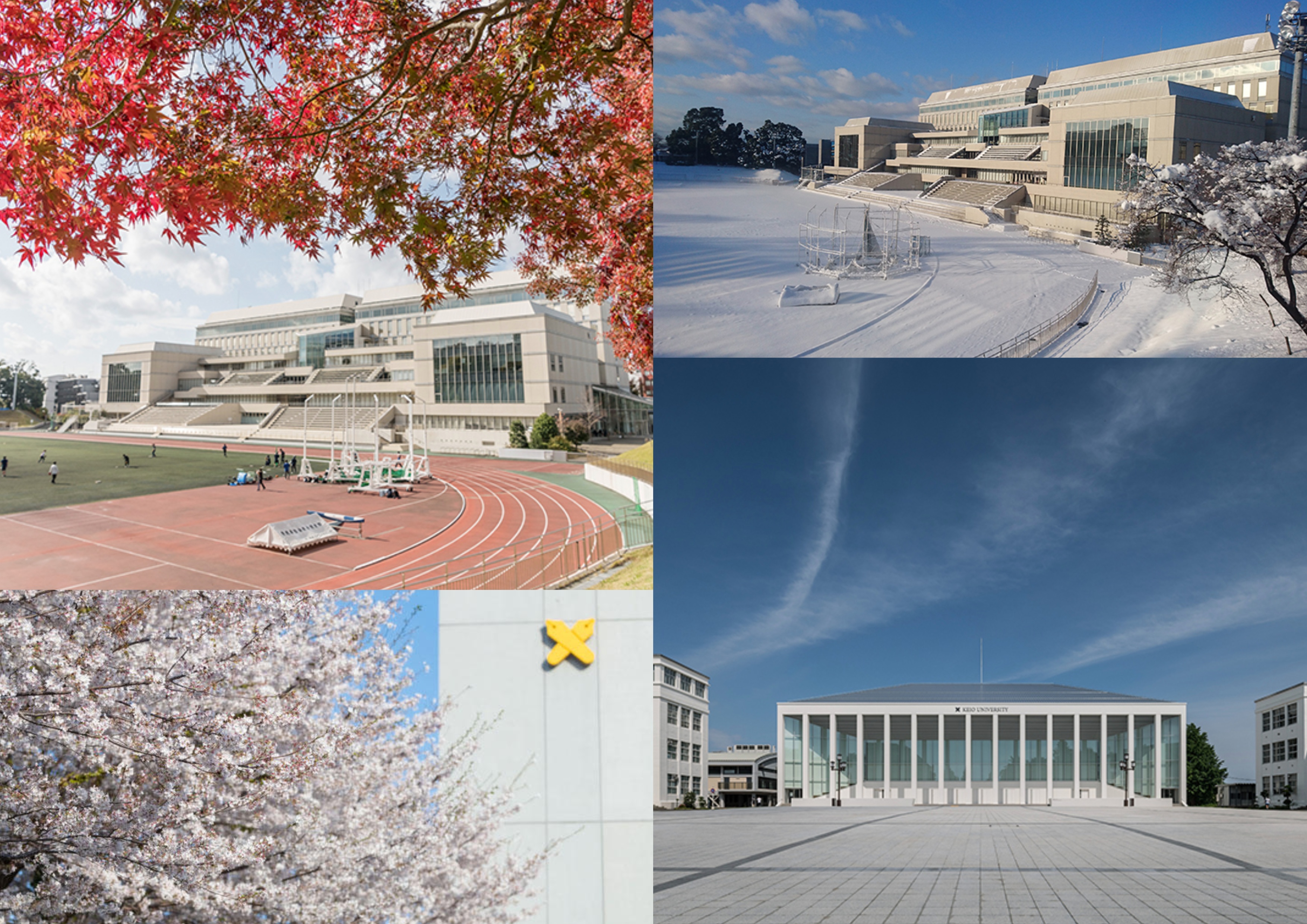 Keio University Hiyoshi Campus